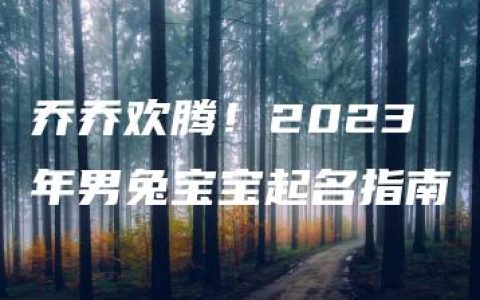 乔乔欢腾！2023年男兔宝宝起名指南