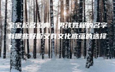 宝宝起名宝典：男孩姓程的名字有哪些好听又有文化底蕴的选择？