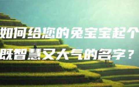 如何给您的兔宝宝起个既智慧又大气的名字？