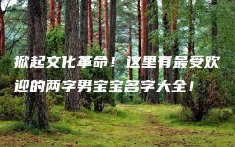 掀起文化革命！这里有最受欢迎的两字男宝宝名字大全！