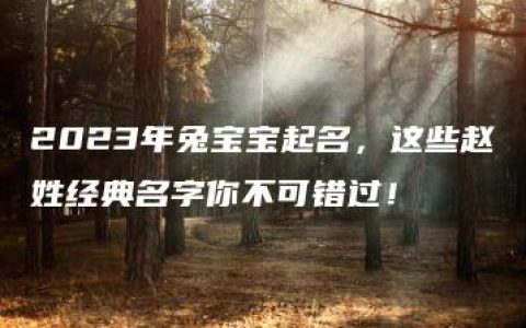 2023年兔宝宝起名，这些赵姓经典名字你不可错过！