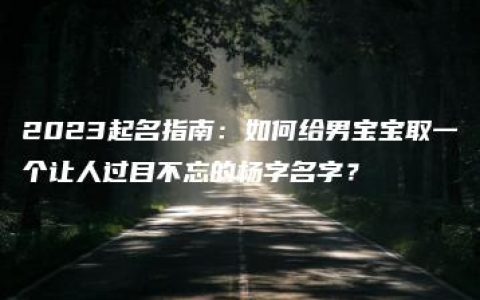 2023起名指南：如何给男宝宝取一个让人过目不忘的杨字名字？