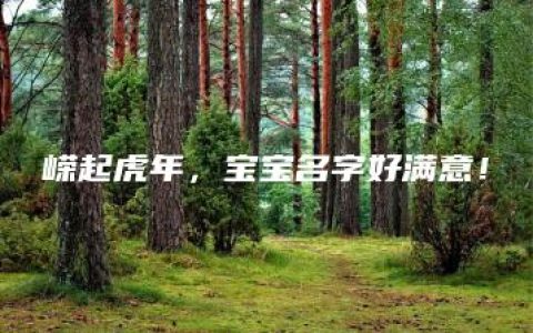 嵘起虎年，宝宝名字好满意！