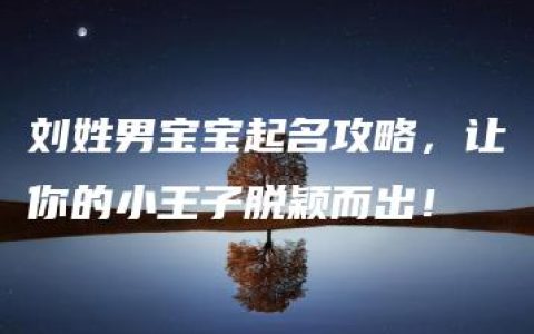 刘姓男宝宝起名攻略，让你的小王子脱颖而出！