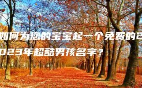 如何为您的宝宝起一个免费的2023年超酷男孩名字？