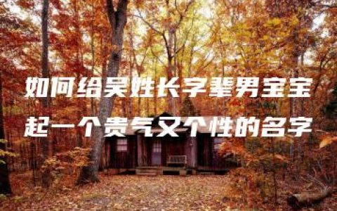 如何给吴姓长字辈男宝宝起一个贵气又个性的名字