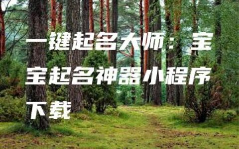 一键起名大师：宝宝起名神器小程序下载