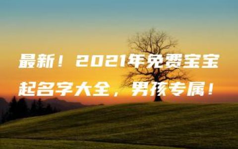 最新！2021年免费宝宝起名字大全，男孩专属！