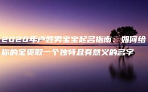 2020年卢姓男宝宝起名指南：如何给你的宝贝取一个独特且有意义的名字