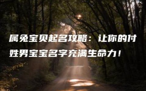 属兔宝贝起名攻略：让你的付姓男宝宝名字充满生命力！