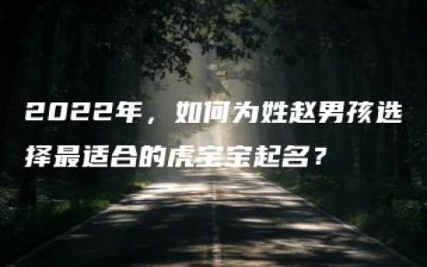 2022年，如何为姓赵男孩选择最适合的虎宝宝起名？