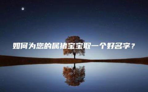 如何为您的属猪宝宝取一个好名字？