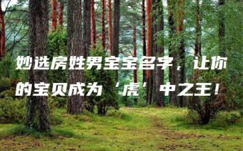 妙选房姓男宝宝名字，让你的宝贝成为‘虎’中之王！