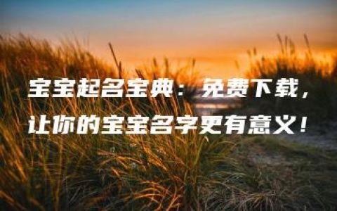 宝宝起名宝典：免费下载，让你的宝宝名字更有意义！