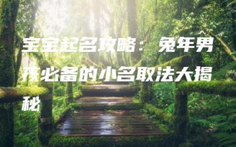 宝宝起名攻略：兔年男孩必备的小名取法大揭秘