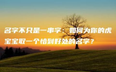 名字不只是一串字：如何为你的虎宝宝取一个恰到好处的名字？