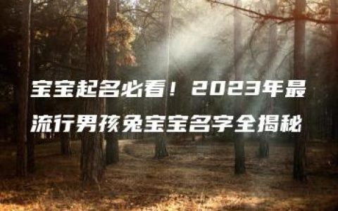 宝宝起名必看！2023年最流行男孩兔宝宝名字全揭秘