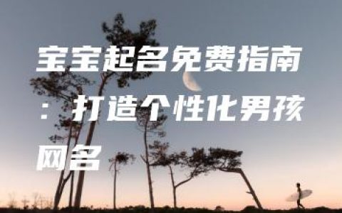 宝宝起名免费指南：打造个性化男孩网名