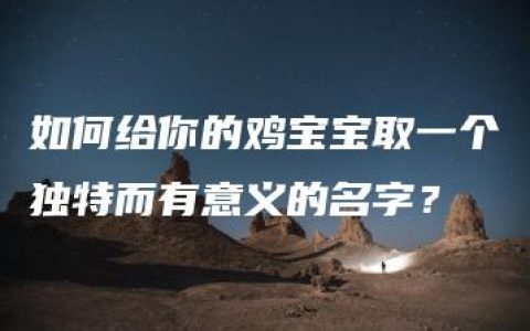 如何给你的鸡宝宝取一个独特而有意义的名字？