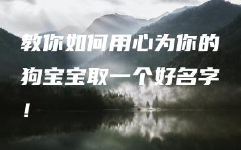 教你如何用心为你的狗宝宝取一个好名字！