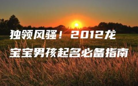 独领风骚！2012龙宝宝男孩起名必备指南