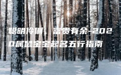 聪明伶俐，富贵有余-2020属鼠宝宝起名五行指南