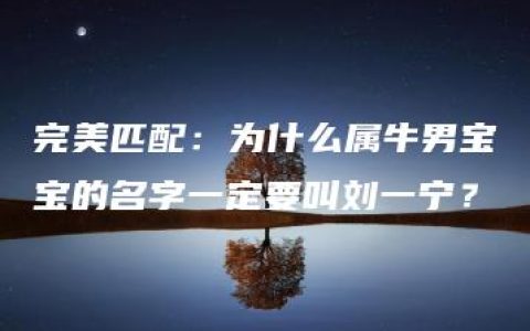 完美匹配：为什么属牛男宝宝的名字一定要叫刘一宁？