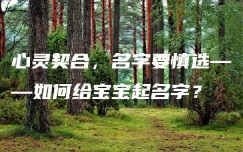 心灵契合，名字要慎选——如何给宝宝起名字？