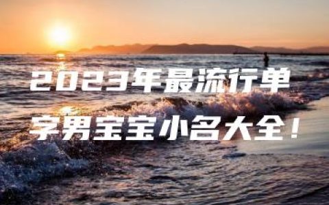 2023年最流行单字男宝宝小名大全！