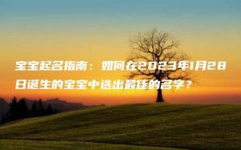 宝宝起名指南：如何在2023年1月28日诞生的宝宝中选出最佳的名字？