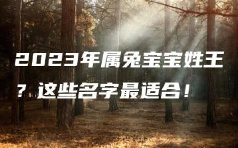 2023年属兔宝宝姓王？这些名字最适合！