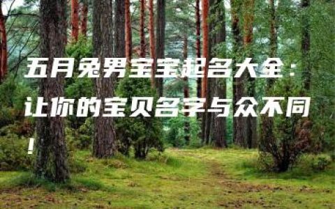 五月兔男宝宝起名大全：让你的宝贝名字与众不同！