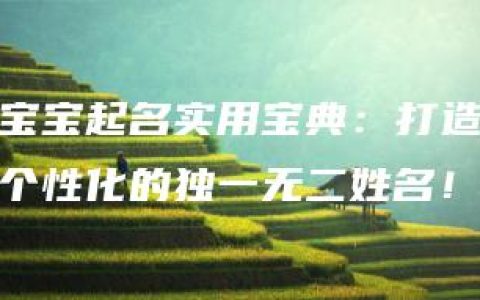 宝宝起名实用宝典：打造个性化的独一无二姓名！