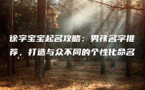 徐字宝宝起名攻略：男孩名字推荐，打造与众不同的个性化命名