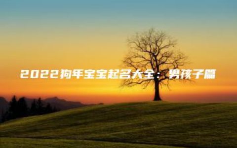 2022狗年宝宝起名大全：男孩子篇