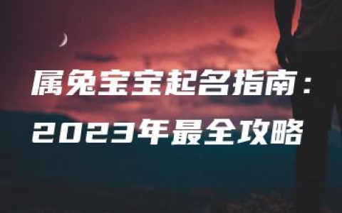 属兔宝宝起名指南：2023年最全攻略