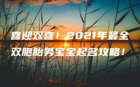 喜迎双喜！2021年最全双胞胎男宝宝起名攻略！