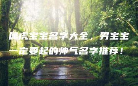 属虎宝宝名字大全，男宝宝一定要起的帅气名字推荐！