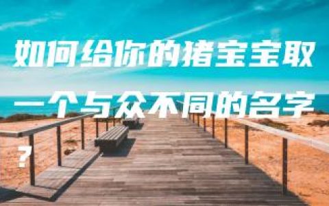 如何给你的猪宝宝取一个与众不同的名字？