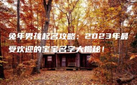 兔年男孩起名攻略：2023年最受欢迎的宝宝名字大揭秘！