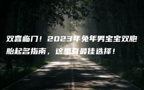 双喜临门！2023年兔年男宝宝双胞胎起名指南，这里有最佳选择！