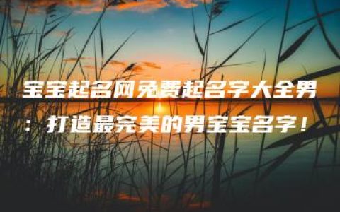 宝宝起名网免费起名字大全男：打造最完美的男宝宝名字！