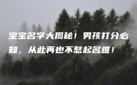 宝宝名字大揭秘！男孩打分必知，从此再也不愁起名难！