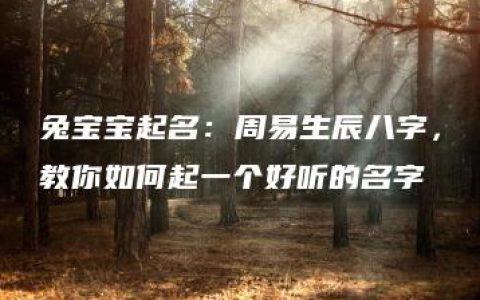 兔宝宝起名：周易生辰八字，教你如何起一个好听的名字