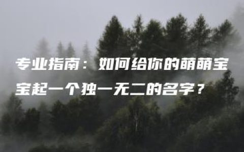 专业指南：如何给你的萌萌宝宝起一个独一无二的名字？