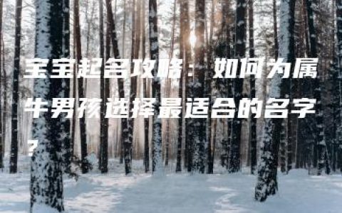 宝宝起名攻略：如何为属牛男孩选择最适合的名字？