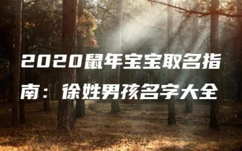 2020鼠年宝宝取名指南：徐姓男孩名字大全