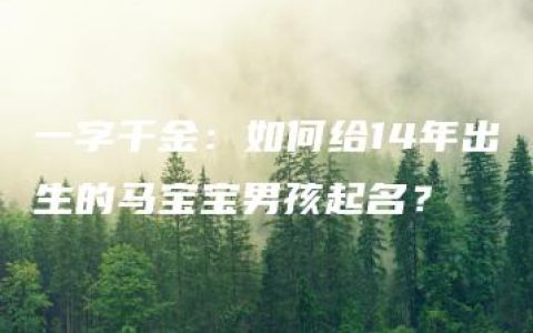 一字千金：如何给14年出生的马宝宝男孩起名？