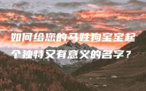 如何给您的马姓狗宝宝起个独特又有意义的名字？