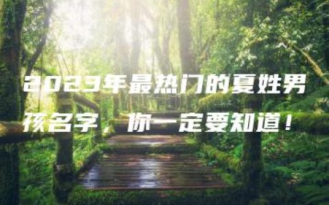 2023年最热门的夏姓男孩名字，你一定要知道！